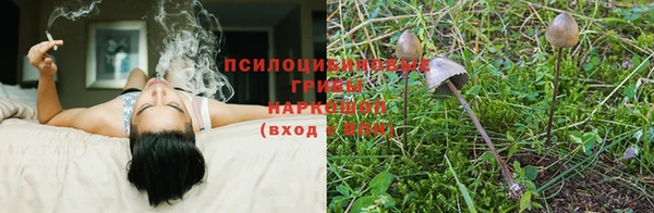 первитин Россошь