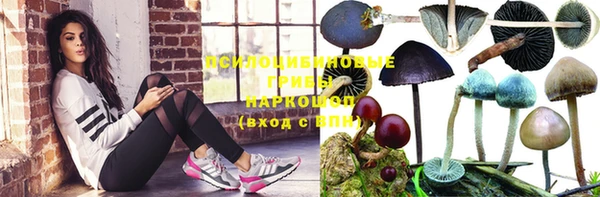 первитин Россошь